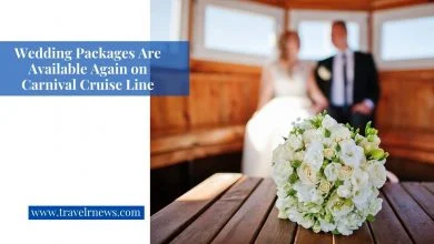 Wedding Packages Are Available Again on Carnival Cruise Line - Travelrnews